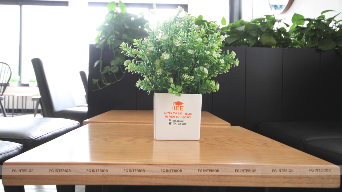 Dự án trà sữa Dingtea (Trần Duy Hưng, Cầu Giấy, Hà Nội)